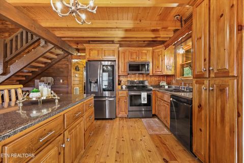 Tiny photo for 503 Domar Court, Townsend, TN 37882 (MLS # 1332725)