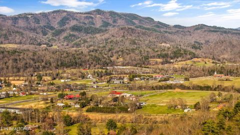 Tiny photo for 503 Domar Court, Townsend, TN 37882 (MLS # 1332725)