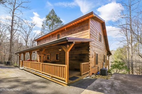 Tiny photo for 503 Domar Court, Townsend, TN 37882 (MLS # 1332725)