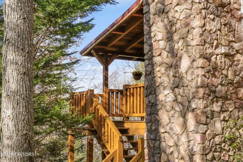 Tiny photo for 503 Domar Court, Townsend, TN 37882 (MLS # 1332725)