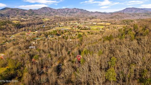 Tiny photo for 503 Domar Court, Townsend, TN 37882 (MLS # 1332725)