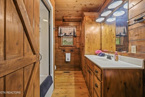 Tiny photo for 503 Domar Court, Townsend, TN 37882 (MLS # 1332725)