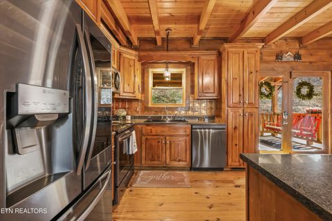 Tiny photo for 503 Domar Court, Townsend, TN 37882 (MLS # 1332725)