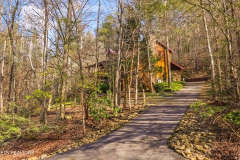 Tiny photo for 503 Domar Court, Townsend, TN 37882 (MLS # 1332725)