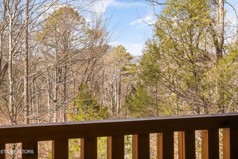 Tiny photo for 503 Domar Court, Townsend, TN 37882 (MLS # 1332725)