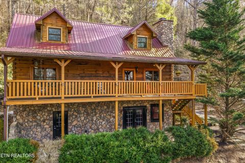 Tiny photo for 503 Domar Court, Townsend, TN 37882 (MLS # 1332725)