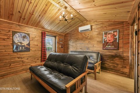 Tiny photo for 503 Domar Court, Townsend, TN 37882 (MLS # 1332725)