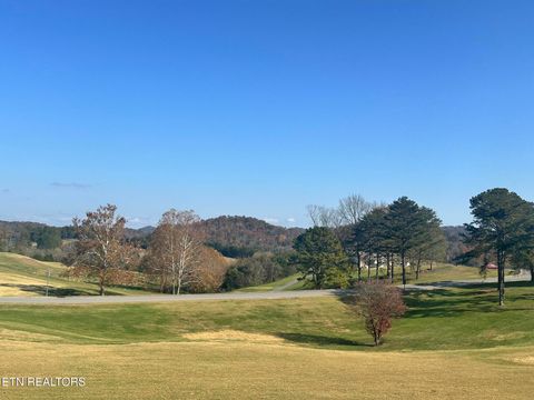 Tiny photo for Wedge Way, Tazewell, TN 37879 (MLS # 1326503)