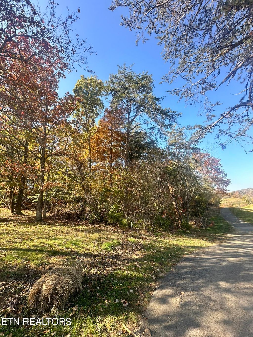 Photo of Wedge Way, Tazewell, TN 37879 (MLS # 1326503)