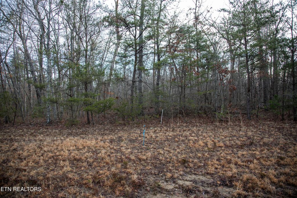 Photo of 0 N Laurel Loop, Monterey, TN 38574 (MLS # 1333007)