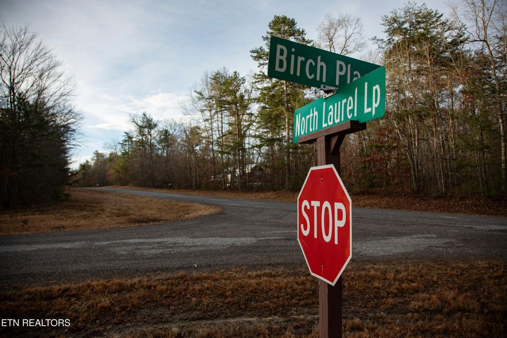 Photo of 0 N Laurel Loop, Monterey, TN 38574 (MLS # 1333007)