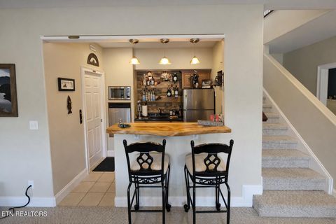 Tiny photo for 236 Unutsi Tr, Vonore, TN 37885 (MLS # 1333170)