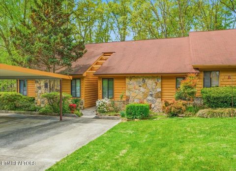 Photo of 169 Hendrix Drive, Oak Ridge, TN 37830 (MLS # 1336961)