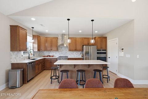 Tiny photo for 806 River Drive, Blaine, TN 37709 (MLS # 1331953)