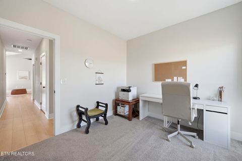 Tiny photo for 806 River Drive, Blaine, TN 37709 (MLS # 1331953)