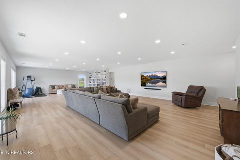 Tiny photo for 806 River Drive, Blaine, TN 37709 (MLS # 1331953)