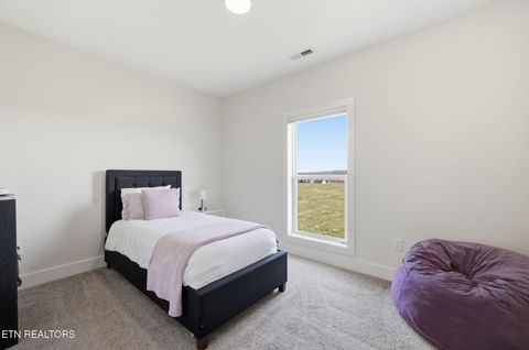 Tiny photo for 806 River Drive, Blaine, TN 37709 (MLS # 1331953)