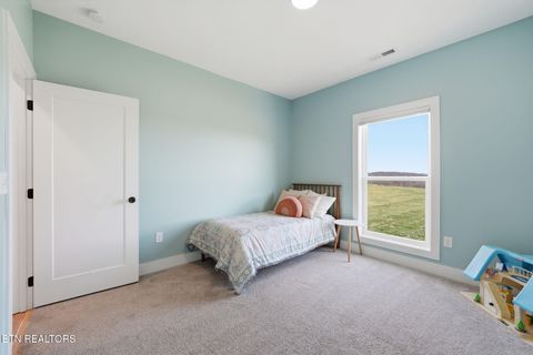 Tiny photo for 806 River Drive, Blaine, TN 37709 (MLS # 1331953)