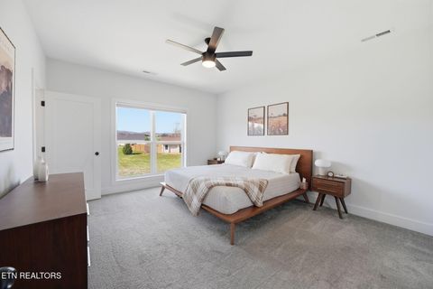 Tiny photo for 806 River Drive, Blaine, TN 37709 (MLS # 1331953)