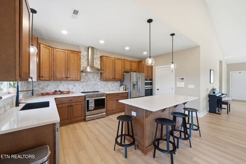 Tiny photo for 806 River Drive, Blaine, TN 37709 (MLS # 1331953)