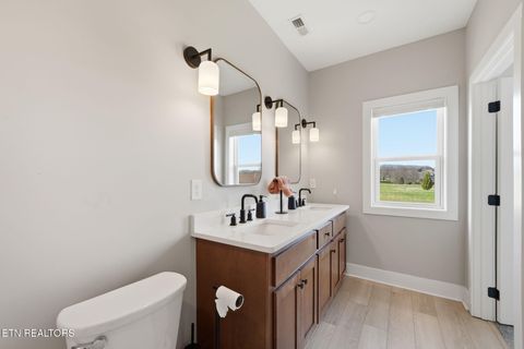 Tiny photo for 806 River Drive, Blaine, TN 37709 (MLS # 1331953)