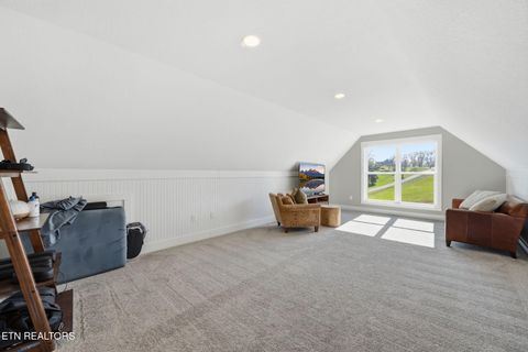 Tiny photo for 806 River Drive, Blaine, TN 37709 (MLS # 1331953)