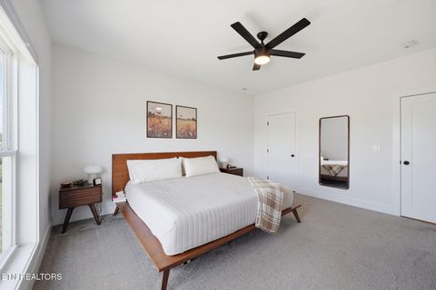 Tiny photo for 806 River Drive, Blaine, TN 37709 (MLS # 1331953)