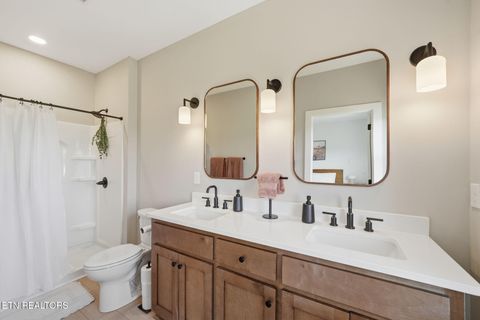 Tiny photo for 806 River Drive, Blaine, TN 37709 (MLS # 1331953)