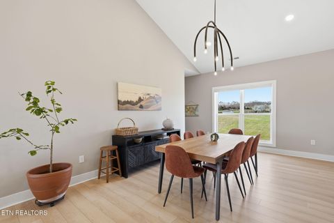 Tiny photo for 806 River Drive, Blaine, TN 37709 (MLS # 1331953)