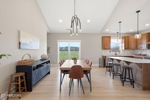 Tiny photo for 806 River Drive, Blaine, TN 37709 (MLS # 1331953)