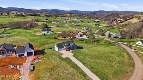 Tiny photo for 806 River Drive, Blaine, TN 37709 (MLS # 1331953)