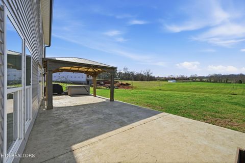 Tiny photo for 806 River Drive, Blaine, TN 37709 (MLS # 1331953)