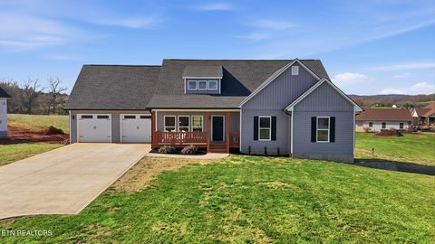 Tiny photo for 806 River Drive, Blaine, TN 37709 (MLS # 1331953)