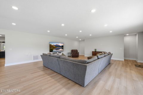 Tiny photo for 806 River Drive, Blaine, TN 37709 (MLS # 1331953)