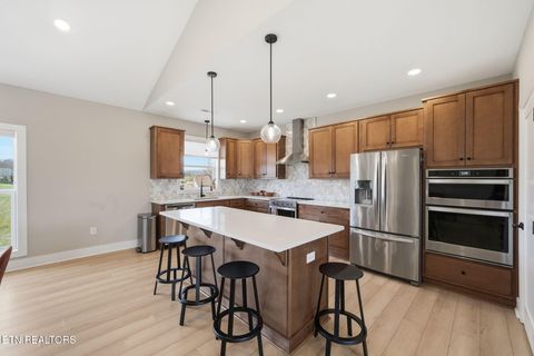 Tiny photo for 806 River Drive, Blaine, TN 37709 (MLS # 1331953)