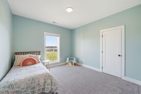 Tiny photo for 806 River Drive, Blaine, TN 37709 (MLS # 1331953)