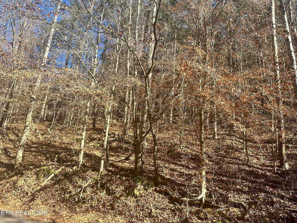 Photo of Vancel Hill Rd, Tazewell, TN 37879 (MLS # 1245917)