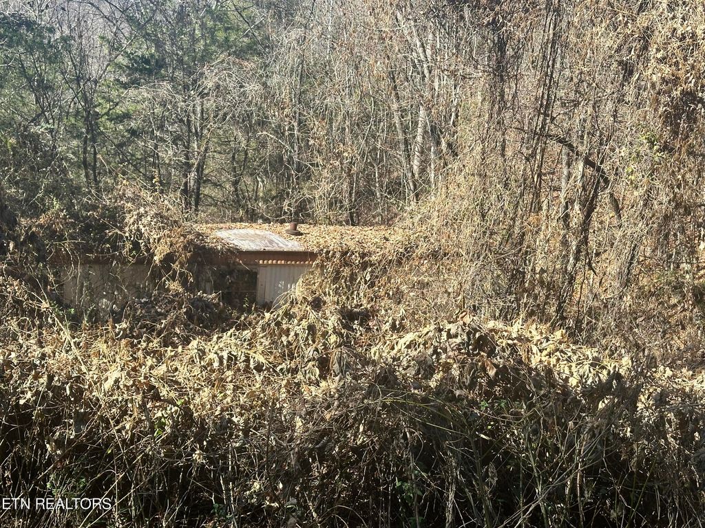 Photo of Vancel Hill Rd, Tazewell, TN 37879 (MLS # 1245917)