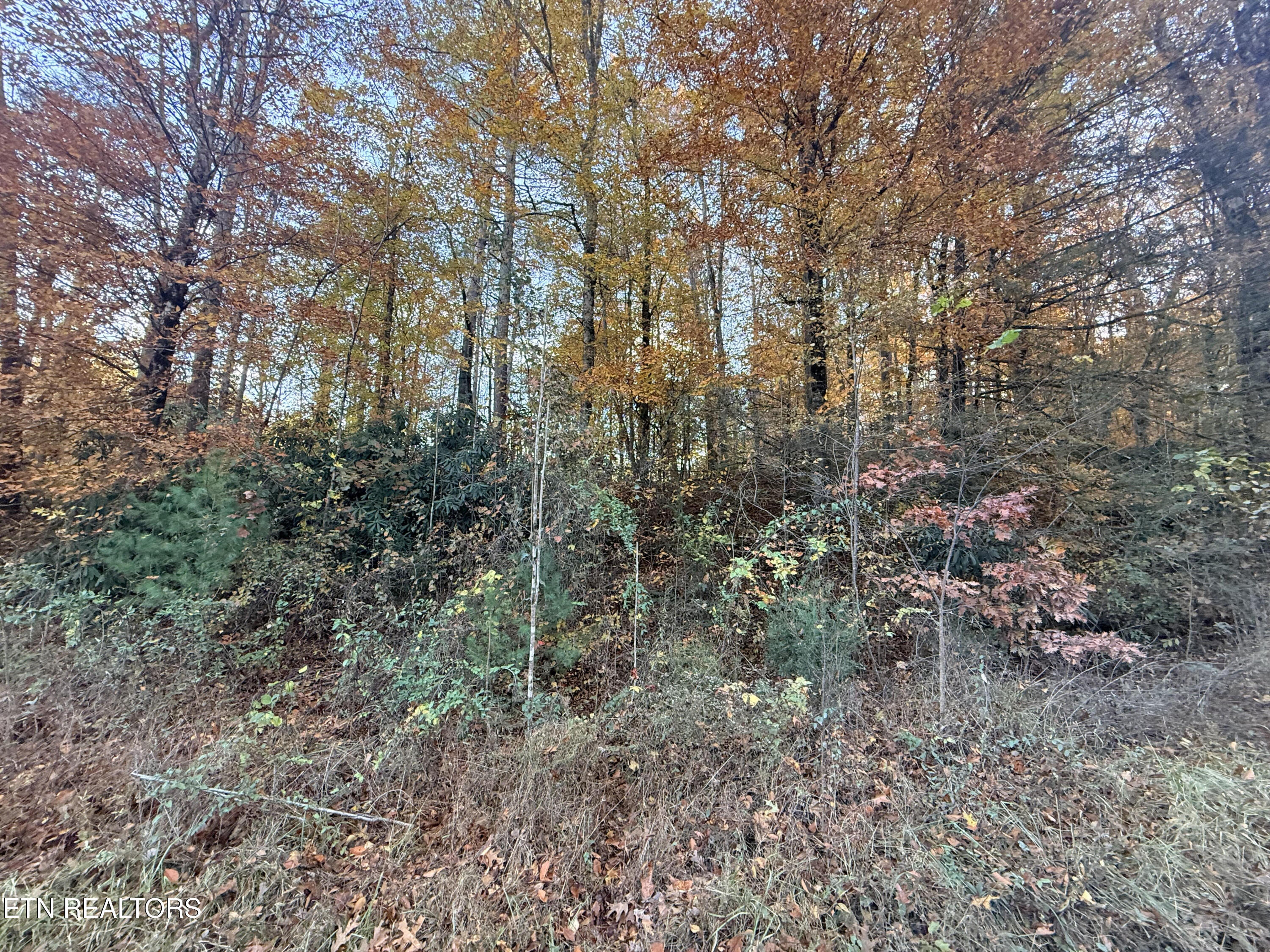 unnamed (1)