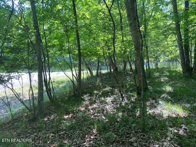 Photo of 11 Rolling Green Circle, Crossville, TN 38558 (MLS # 1341273)