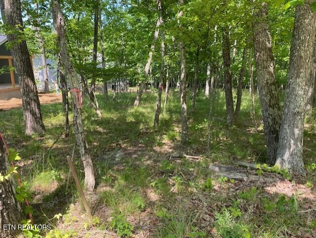 Photo of 11 Rolling Green Circle, Crossville, TN 38558 (MLS # 1341273)