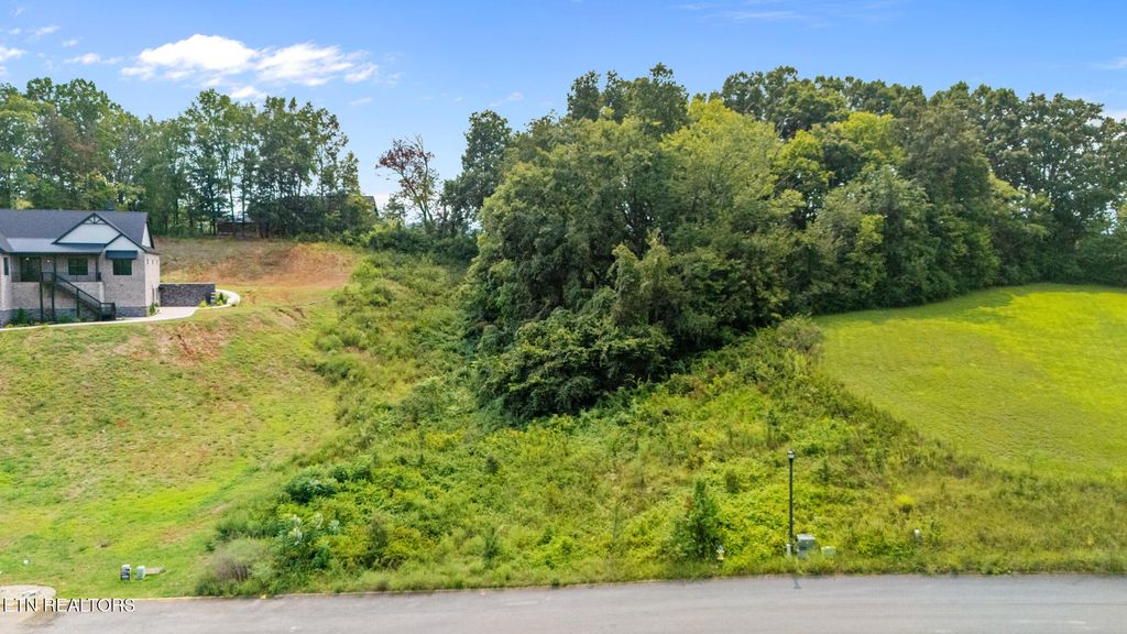 Photo of 16 Sierra Lane, Sevierville, TN 37862 (MLS # 1314719)