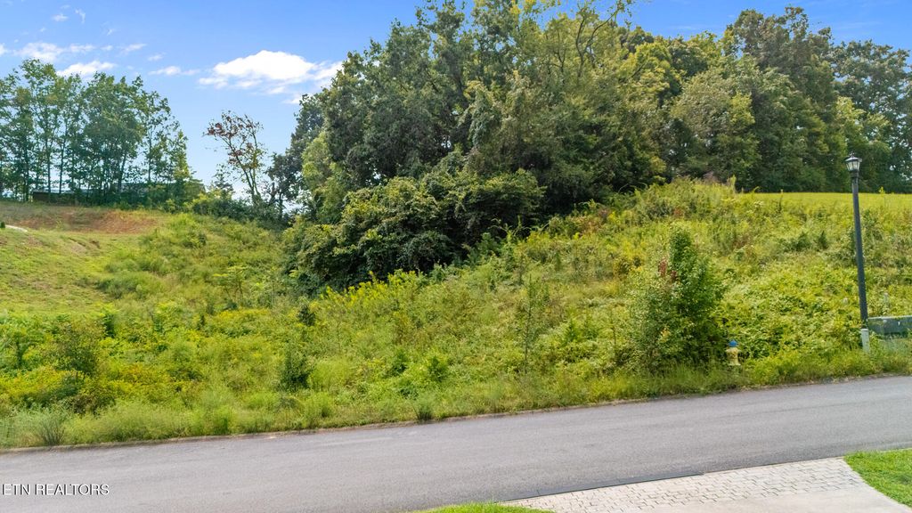 Photo of 16 Sierra Lane, Sevierville, TN 37862 (MLS # 1314719)