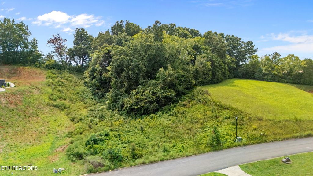 Photo of 16 Sierra Lane, Sevierville, TN 37862 (MLS # 1314719)