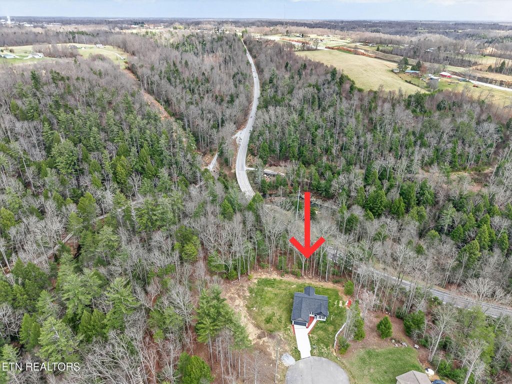 Photo of 523 Ferry Bend Tr, Crossville, TN 38571 (MLS # 1331766)