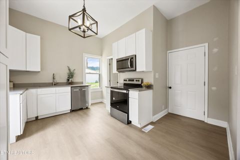 Tiny photo for 329 E Morelia Ave, Knoxville, TN 37917 (MLS # 1337741)