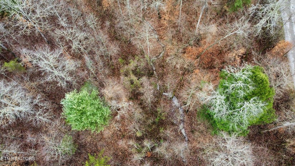 Photo of 0 ROCK HOUSE Rd, Pioneer, TN 37847 (MLS # 1285350)