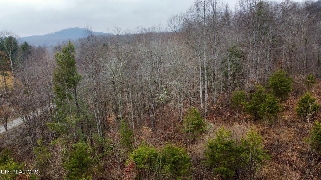 Photo of 0 ROCK HOUSE Rd, Pioneer, TN 37847 (MLS # 1285350)