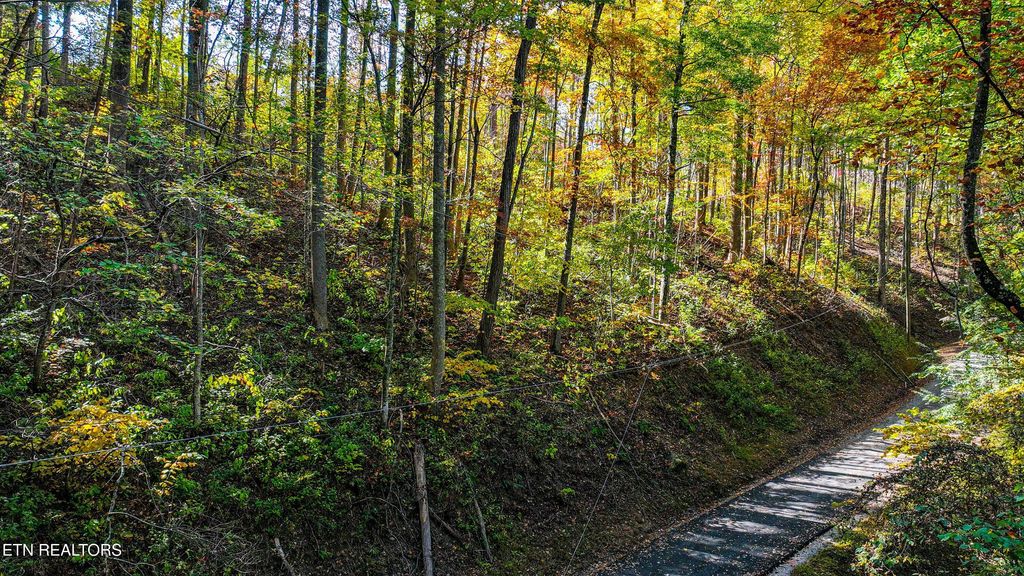Photo of Emerald Springs Loop, Sevierville, TN 37862 (MLS # 1332556)