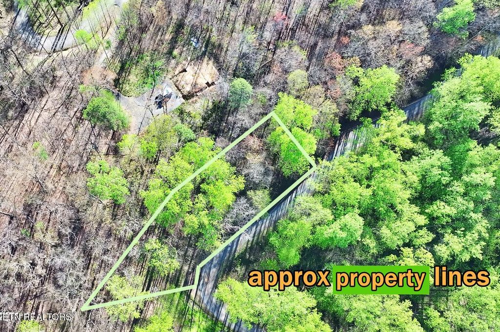 Photo of Emerald Springs Loop, Sevierville, TN 37862 (MLS # 1332556)